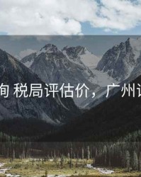 广州 查询 税局评估价，广州评估中心
