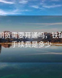 铁矿石期货需要开通吗，铁矿石期货手续费是多少
