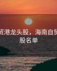 海南自贸港龙头股，海南自贸港龙头股名单