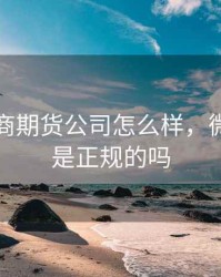 上海微商期货公司怎么样，微商期货是正规的吗