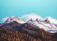 深圳改革40周年概念股，深圳改革40年40人名单