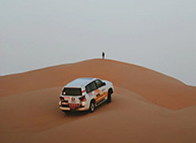 海南自贸港龙头股，海南自贸港龙头股名单