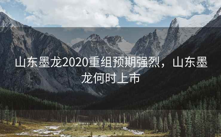 山东墨龙2020重组预期强烈,山东墨龙何时上市 山东墨龙2020重组预期强烈,山东墨龙何时上市