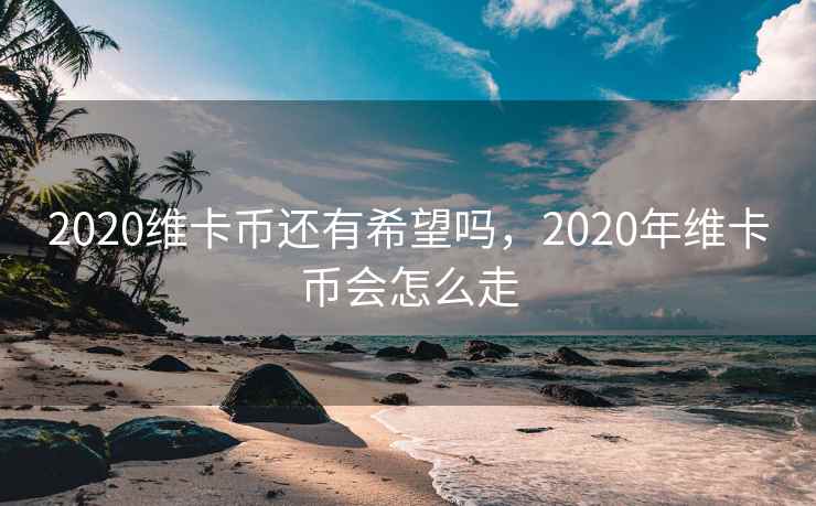 2020维卡币还有希望吗，2020年维卡币会怎么走