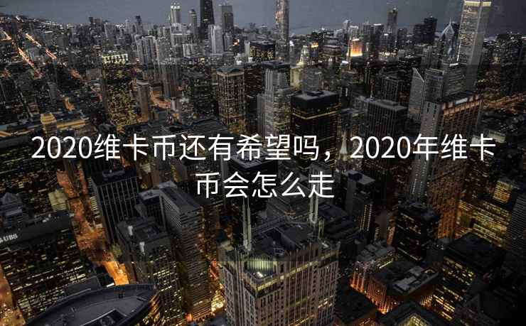 2020维卡币还有希望吗，2020年维卡币会怎么走