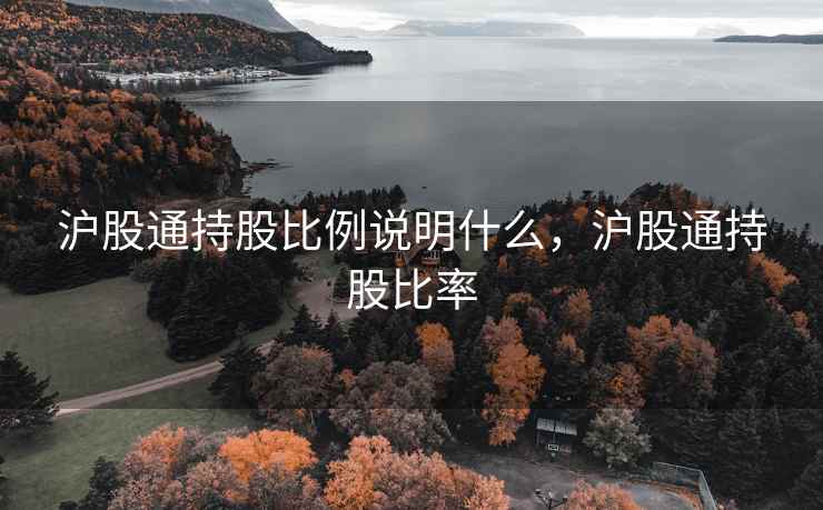 沪股通持股比例说明什么，沪股通持股比率