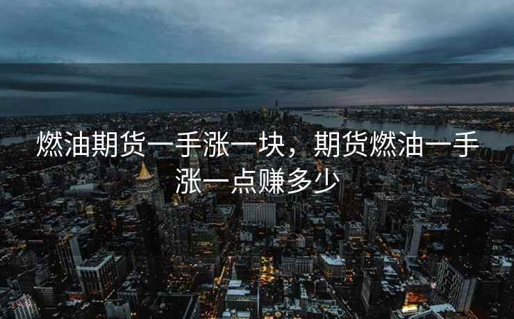 燃油期货一手涨一块，期货燃油一手涨一点赚多少