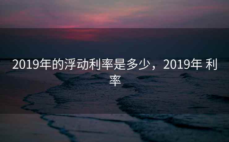 2019年的浮动利率是多少，2019年 利率