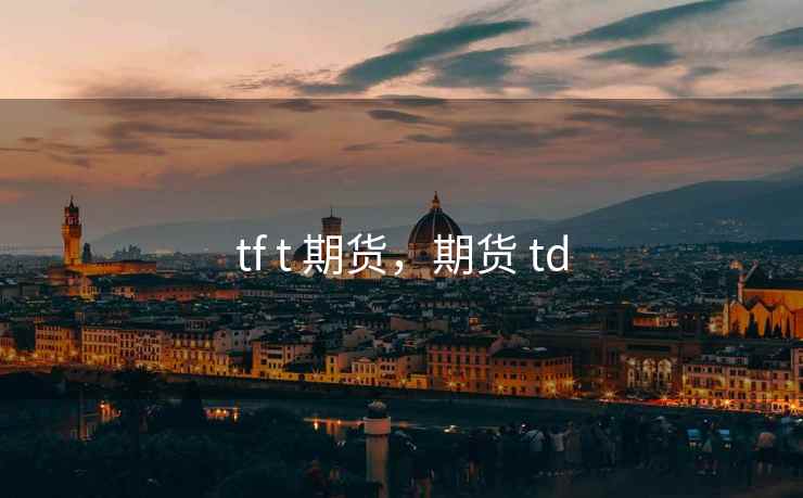 tf t 期货，期货 td